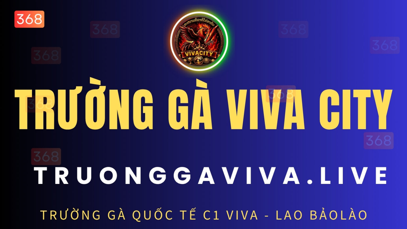 trường gà c1 viva city