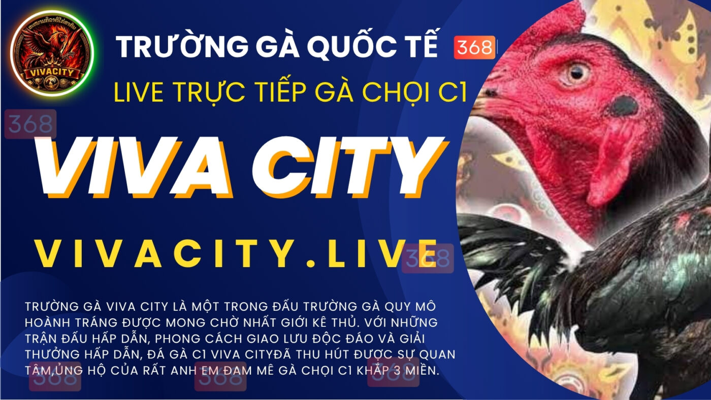 trực tiếp viva city