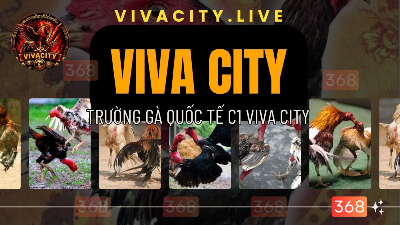 viva city live