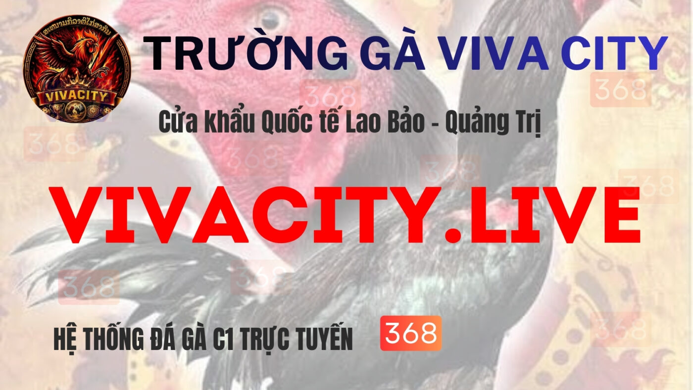 hệ thống đá gà viva city